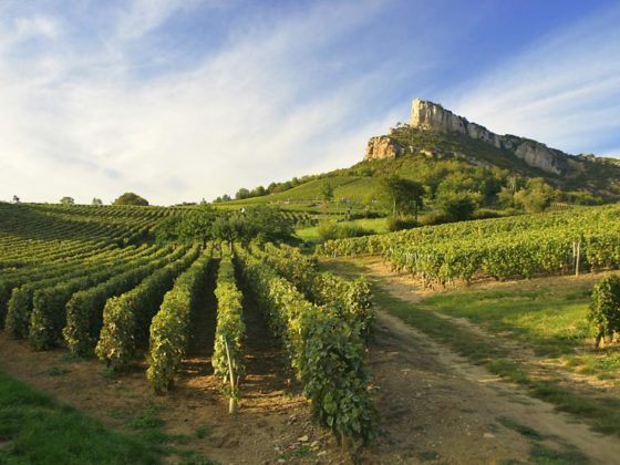 Campingplatz in Burgund in der Nähe der Roche de Solutré