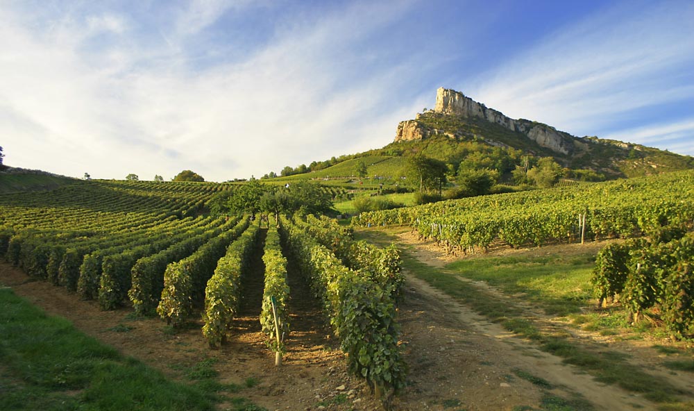 Campingplatz in Burgund in der Nähe der Roche de Solutré