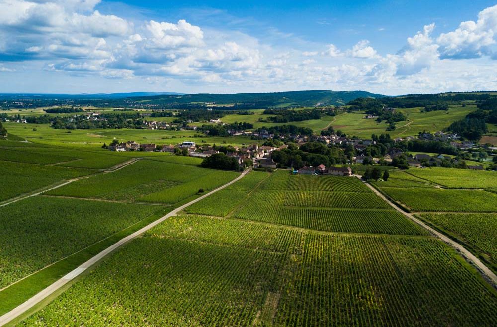 Vignoble de la Côte Chalonnaise à 20 km du camping