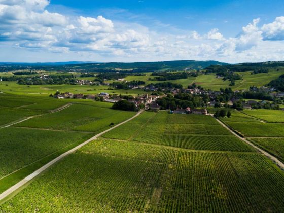 Weinberge der Côte Chalonnaise 20 km vom Campingplatz entfernt