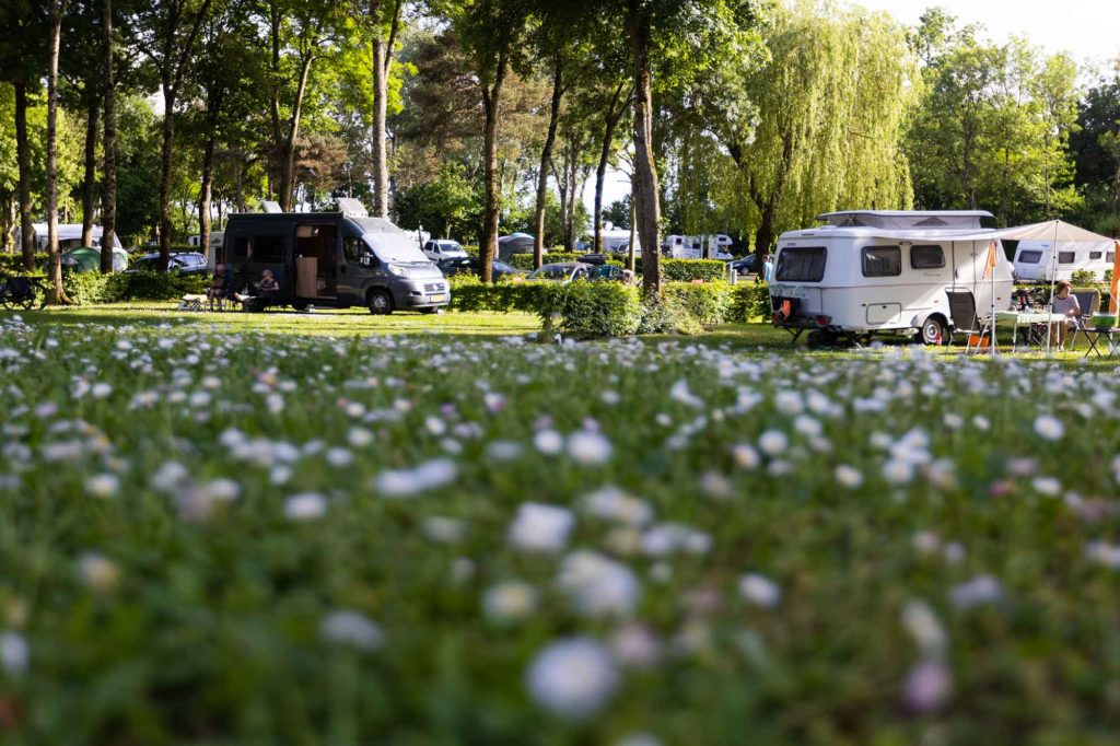 Emplacement de camping en Bourgogne du Sud