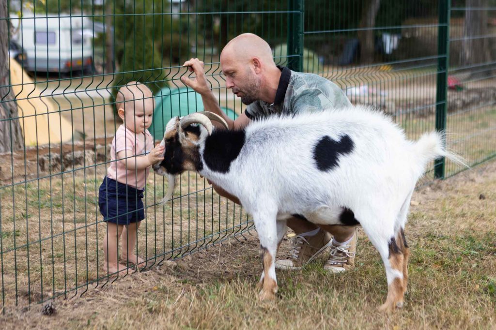 Mini-ferme u camping Bourgogne Château de l'Epervière