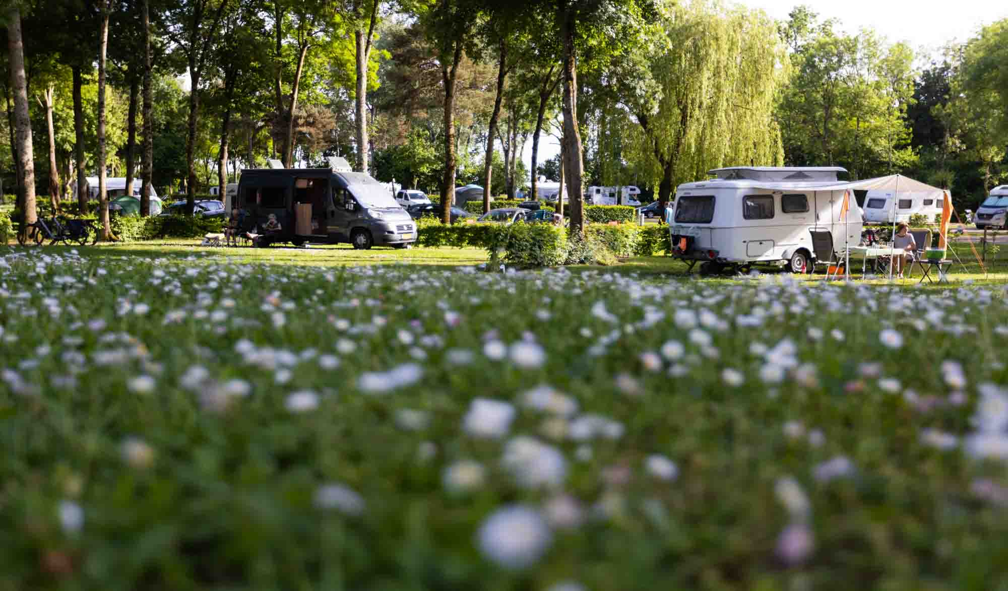 camping-bourgogne-2022-053